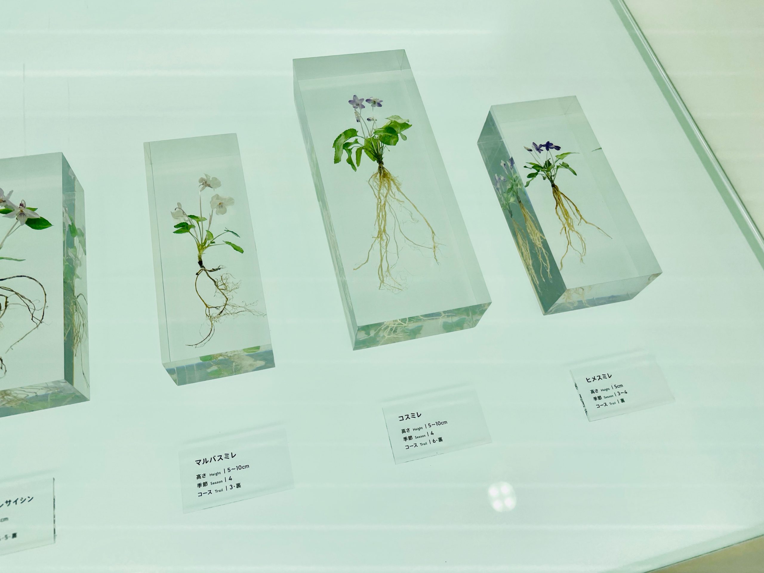 高尾599ミュージアム