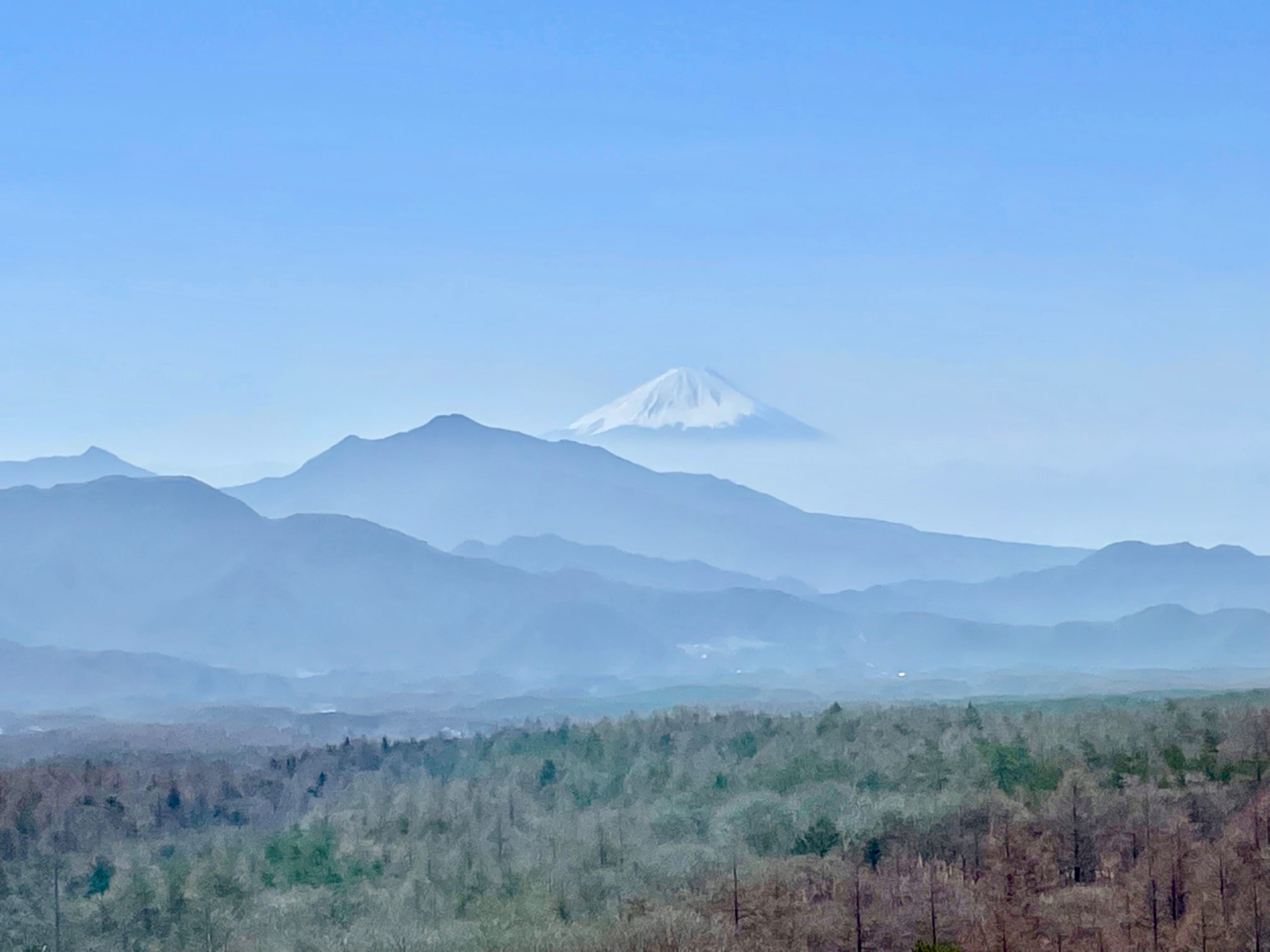 遠くに富士山