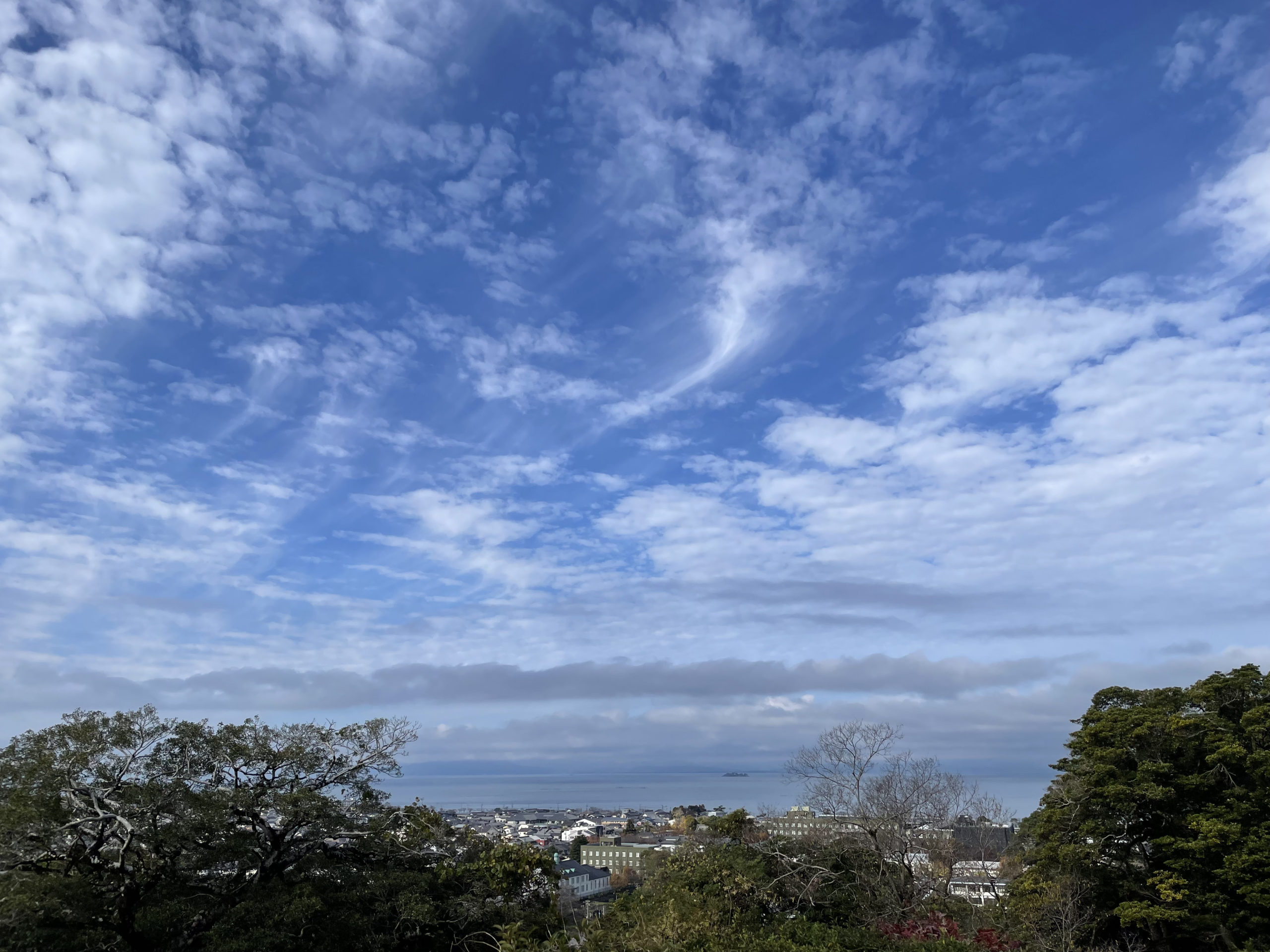 彦根城から琵琶湖を眺める