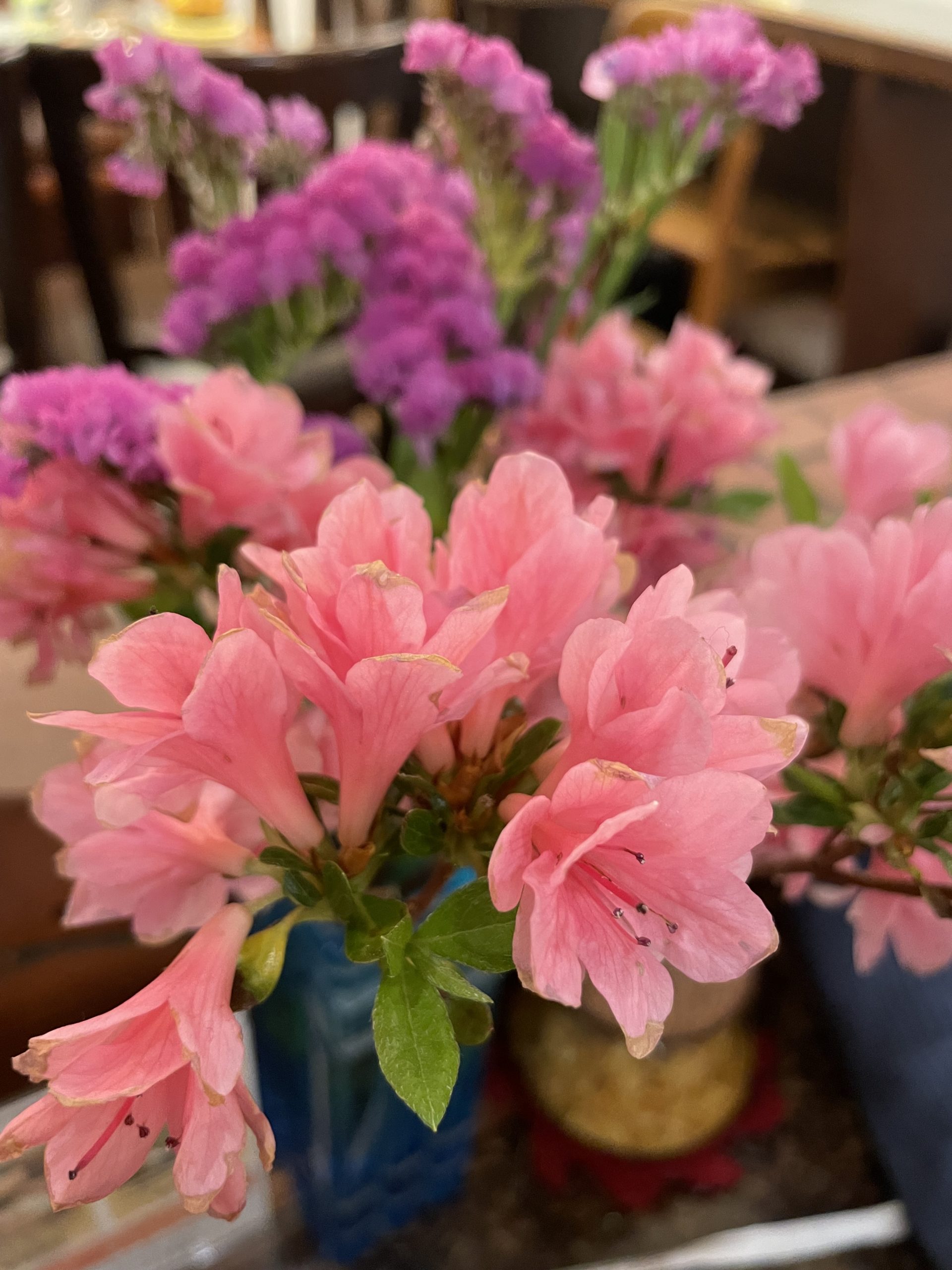 喫茶店で花瓶に活けられてたサツキ