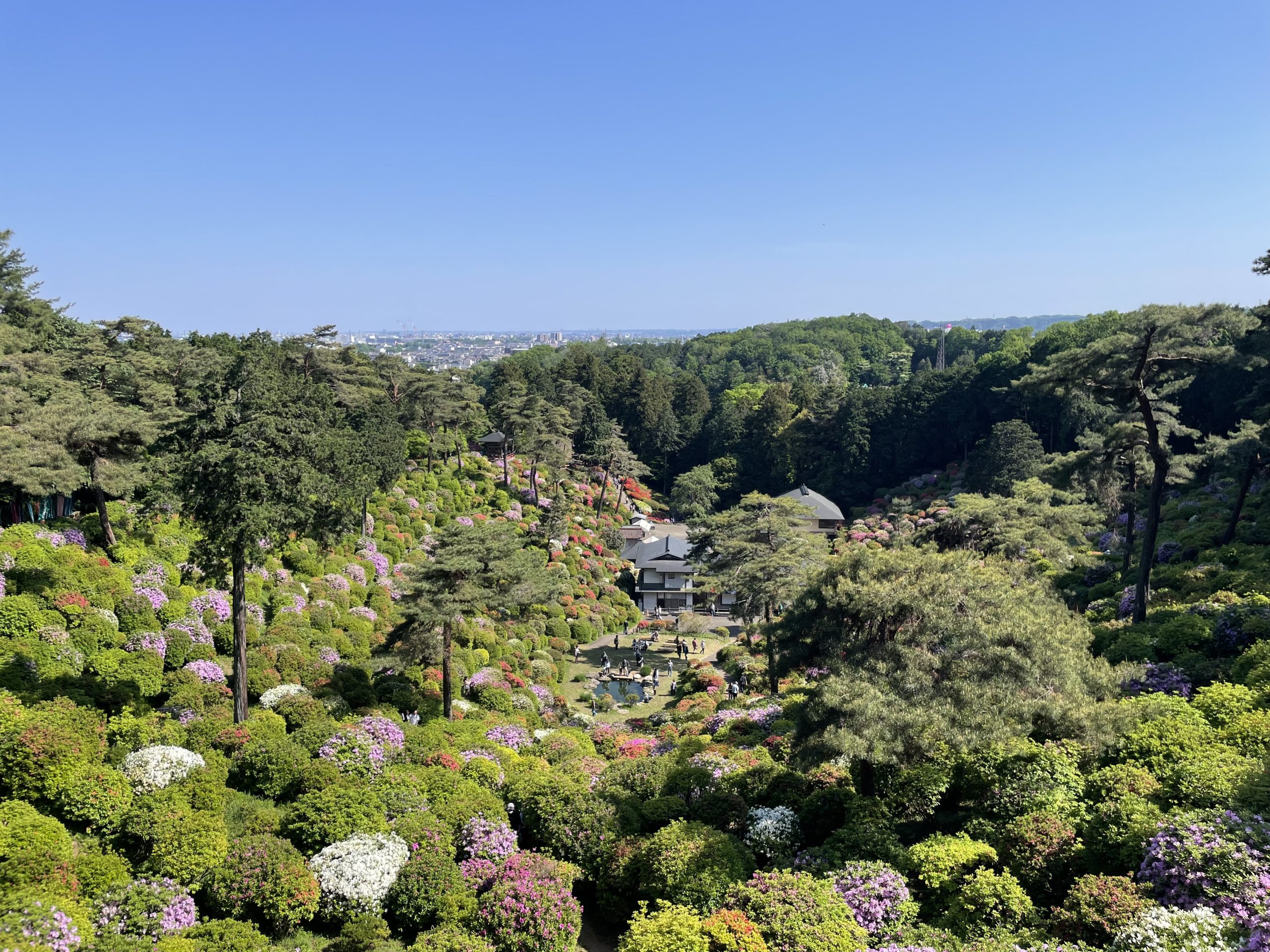 塩船観音からお堂を見下ろした景色