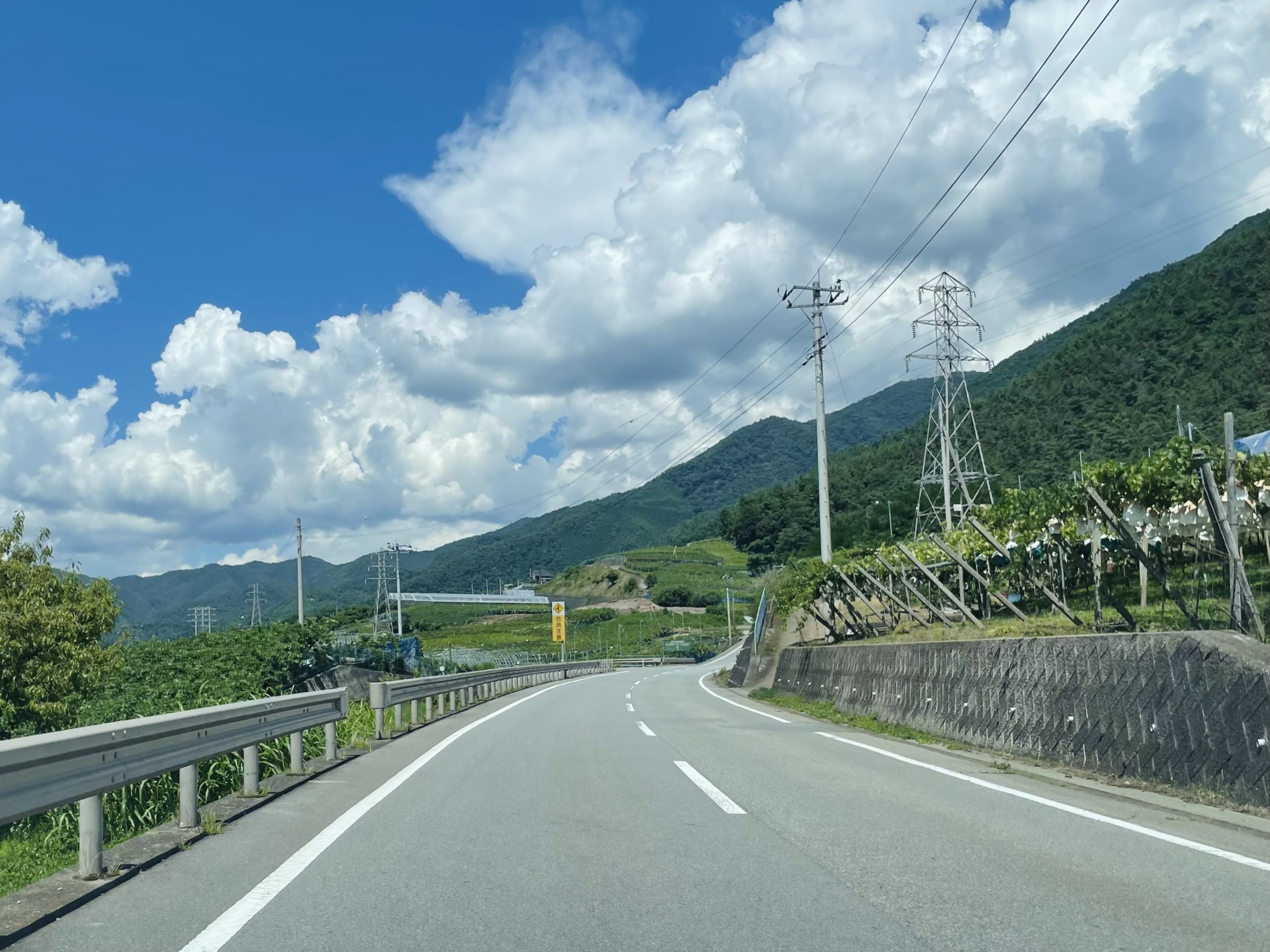 勝沼・フルーツライン