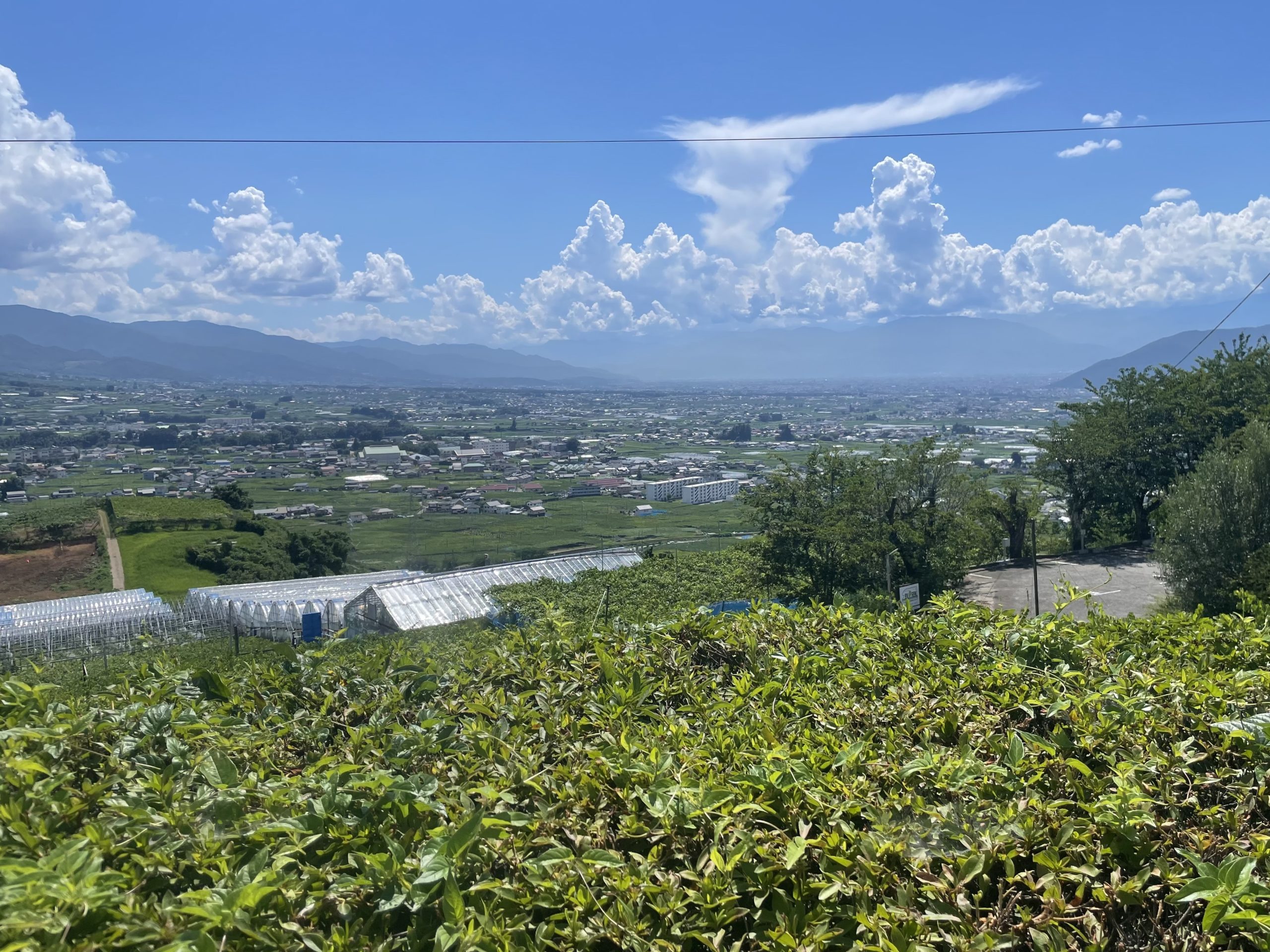 甲府盆地を臨む