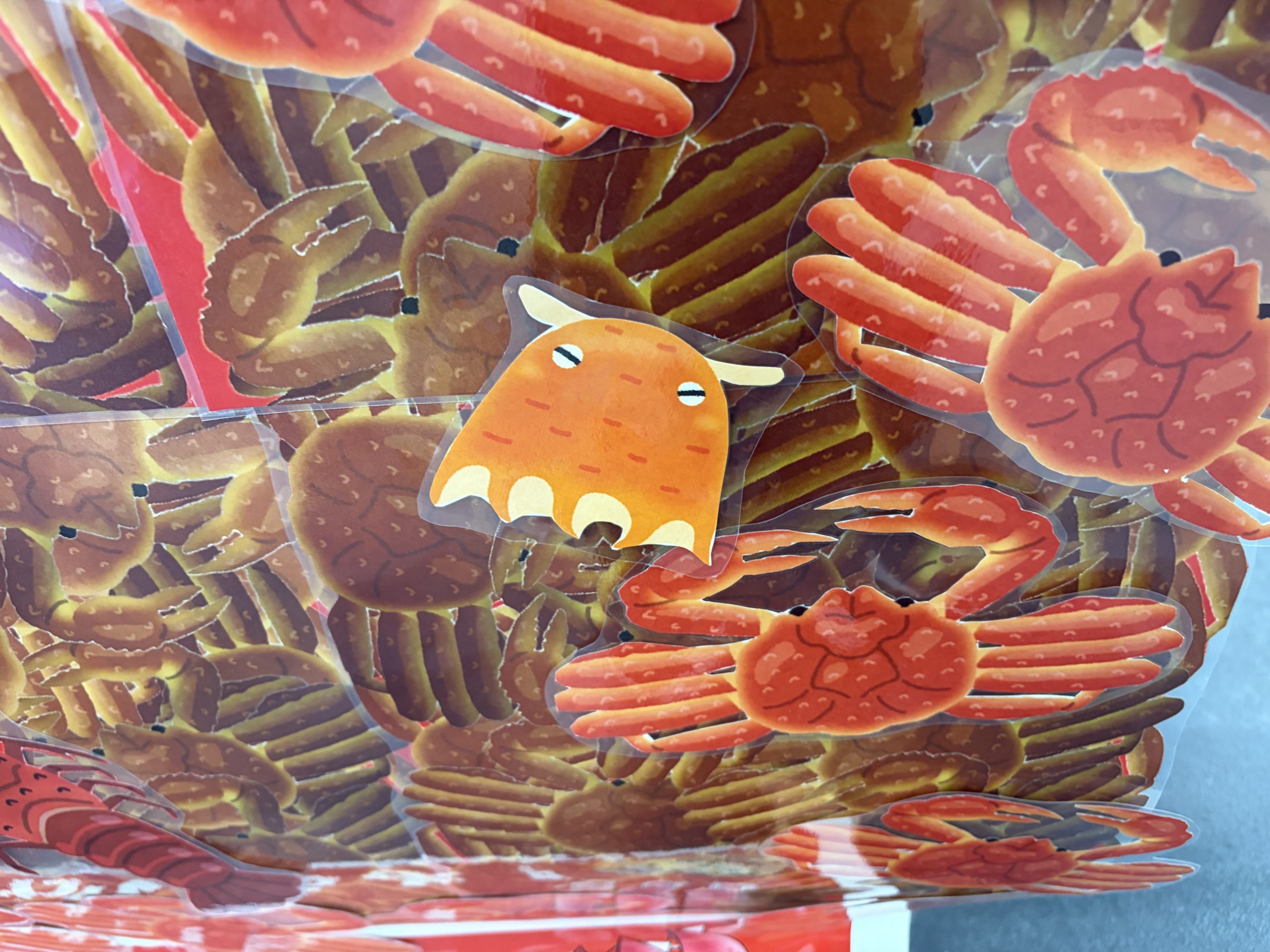 メンダコがいた！