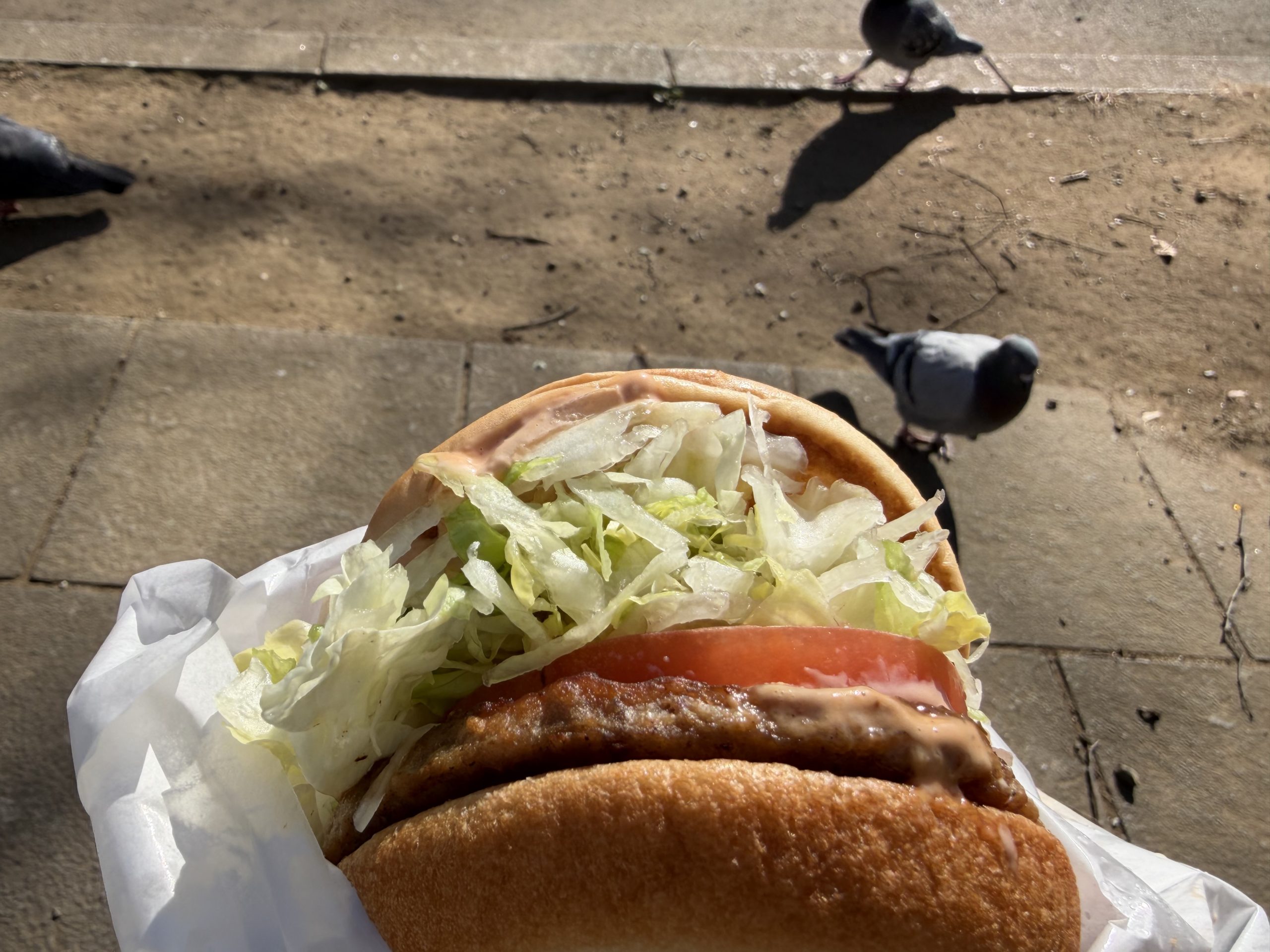 モス野菜バーガーとそれを狙うハト