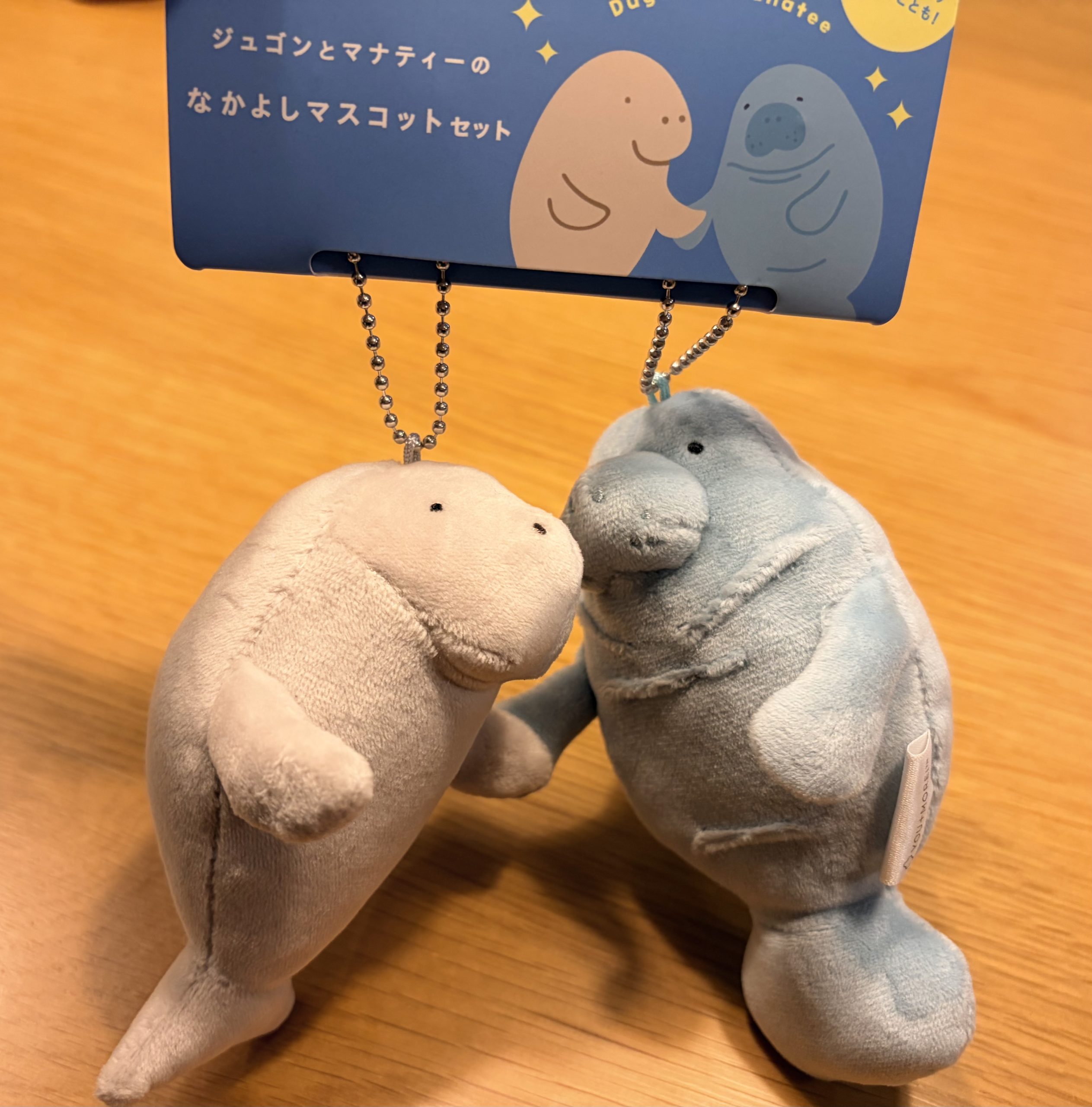 鳥羽水族館のジュゴンとマナティーマスコット