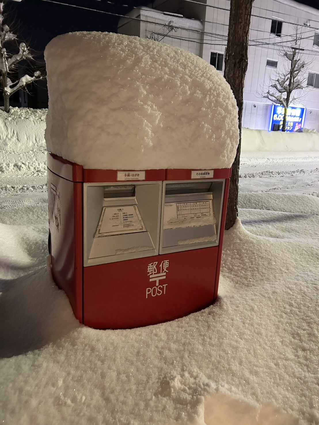 札幌のドカ雪